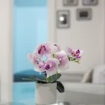 Appartement Chic House *