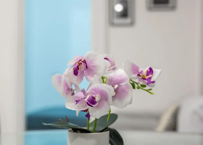 Apartment Chic House *